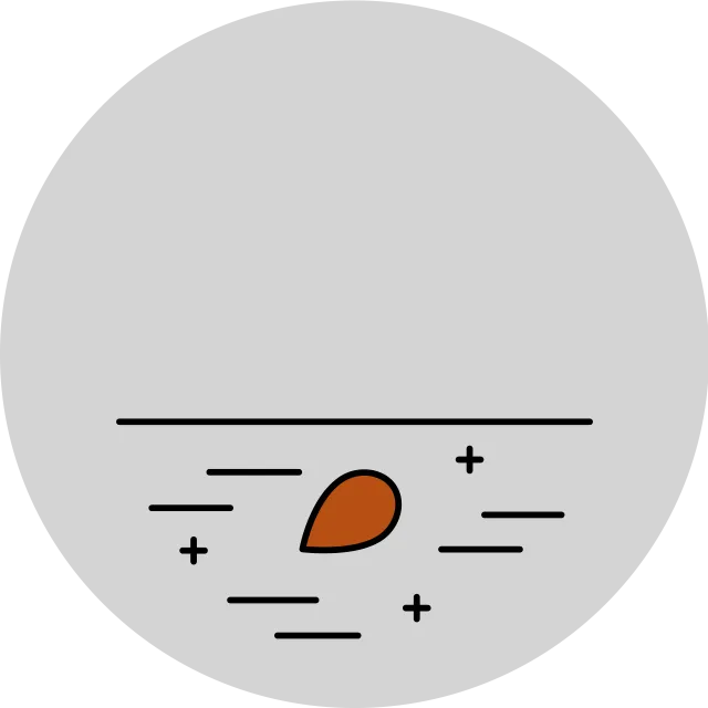 Tree seed icon