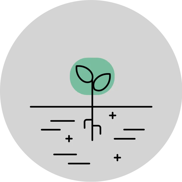 Sprouting tree icon