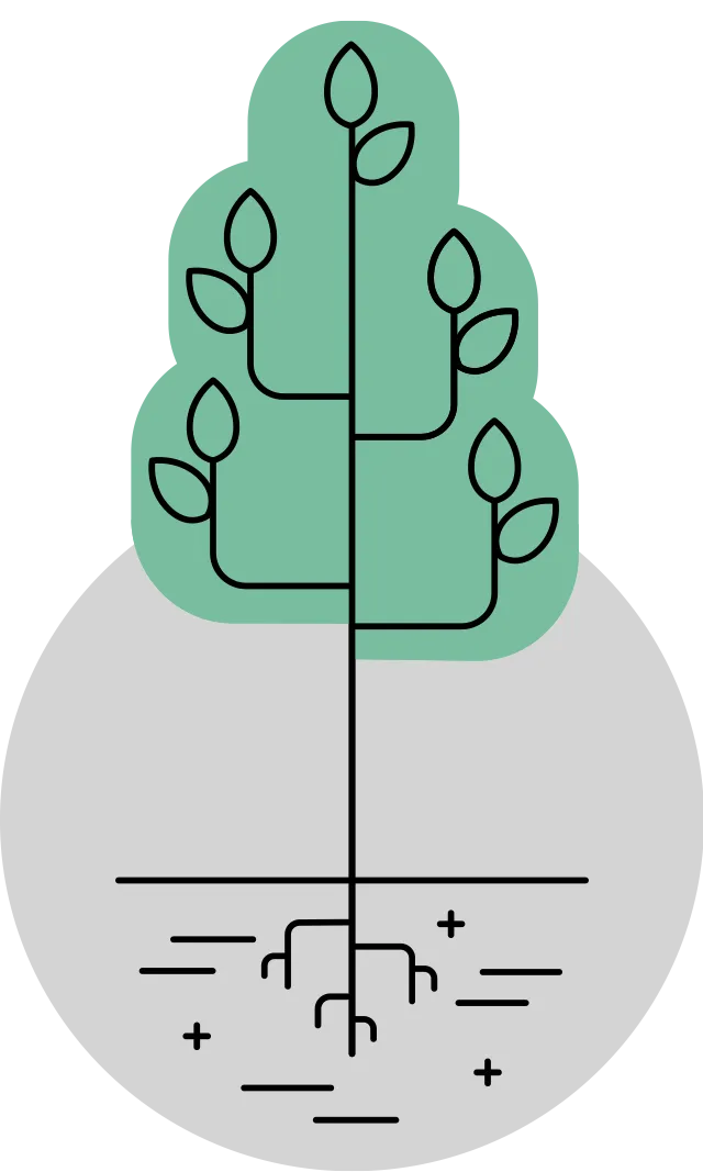 Full-grown tree icon