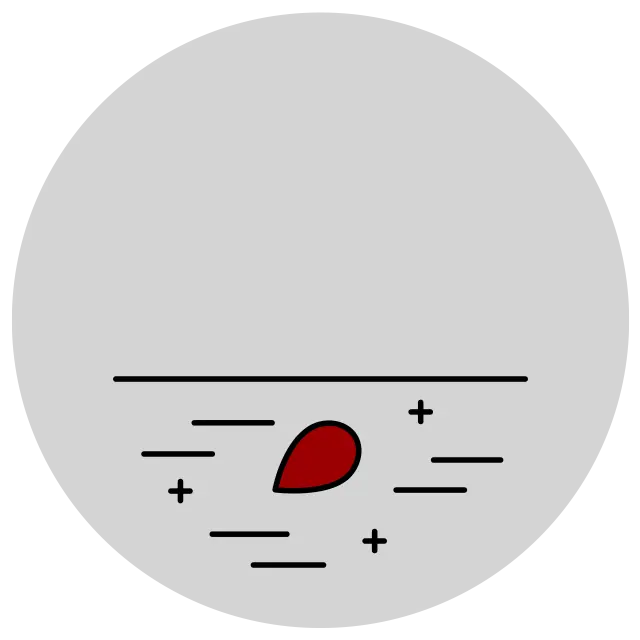 Tree seed icon