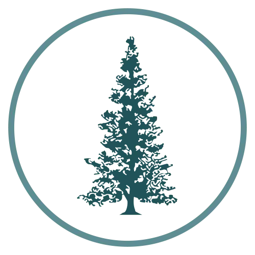 Cedar tree icon