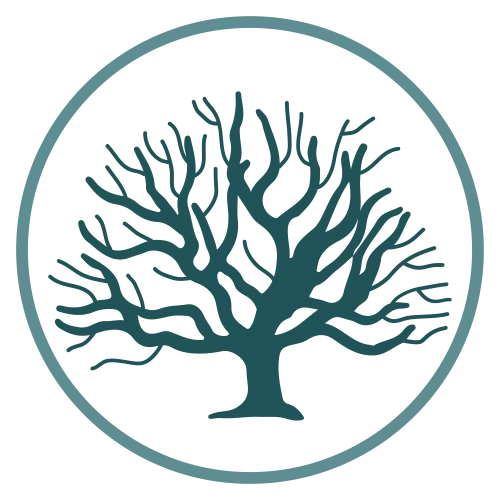 Jacobson Center Tree Logo