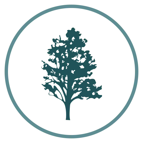 Laurel tree icon