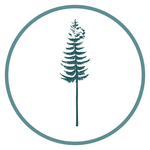 Redwood tree icon