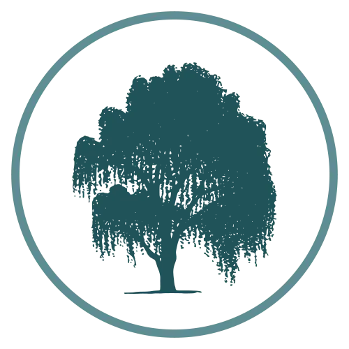 Willow tree icon